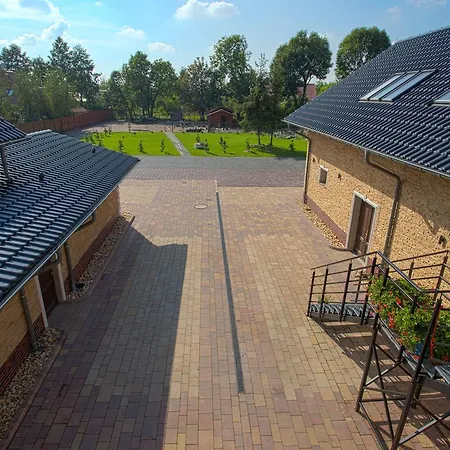 Roza Kamieniec Wroclawski