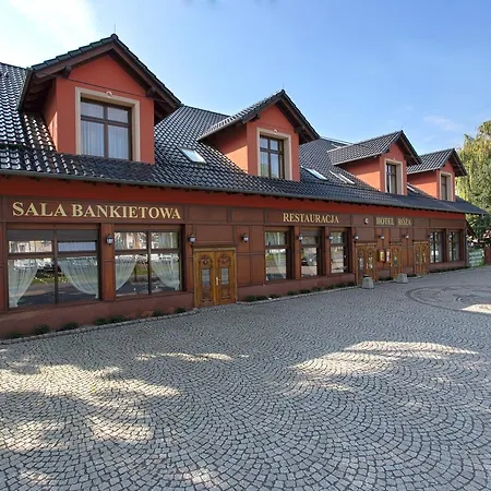 Roza Kamieniec Wroclawski